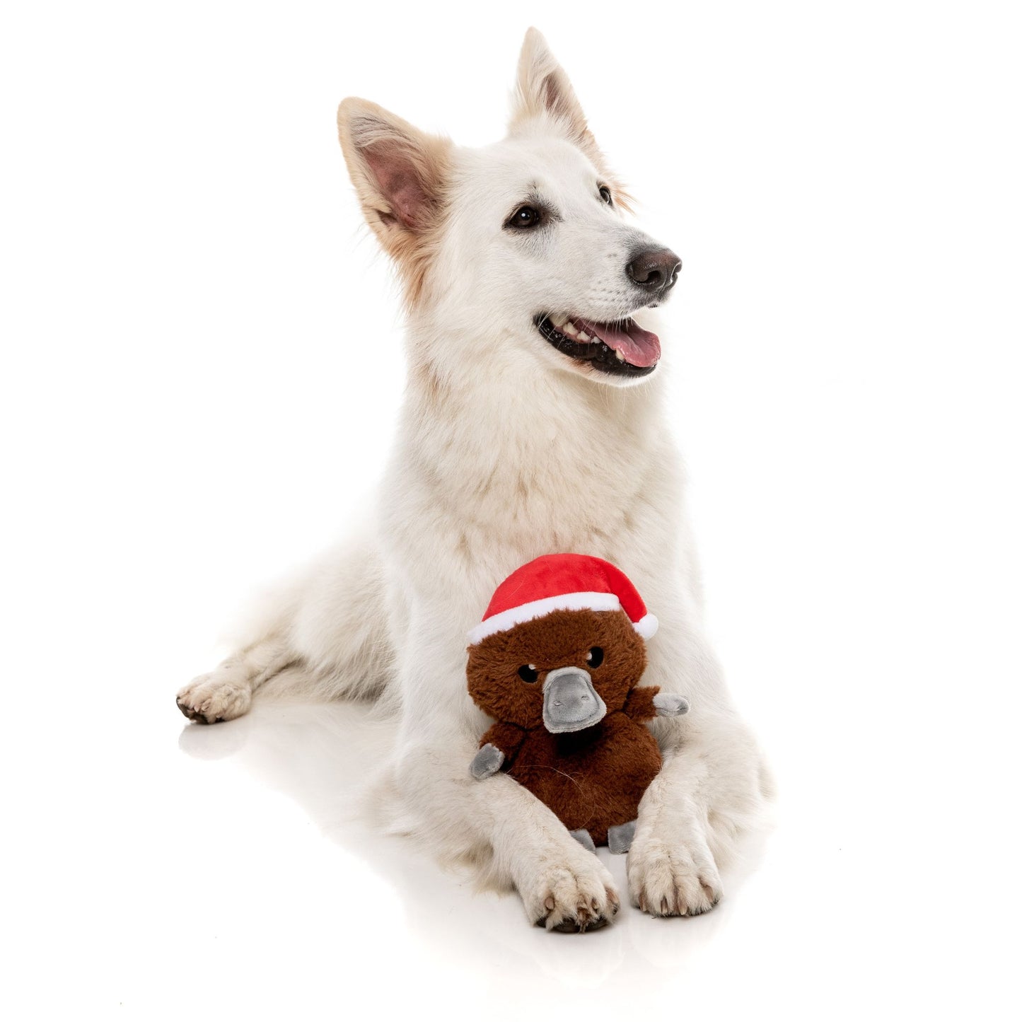 A-Wreatha The Platypus Christmas Dog Toy