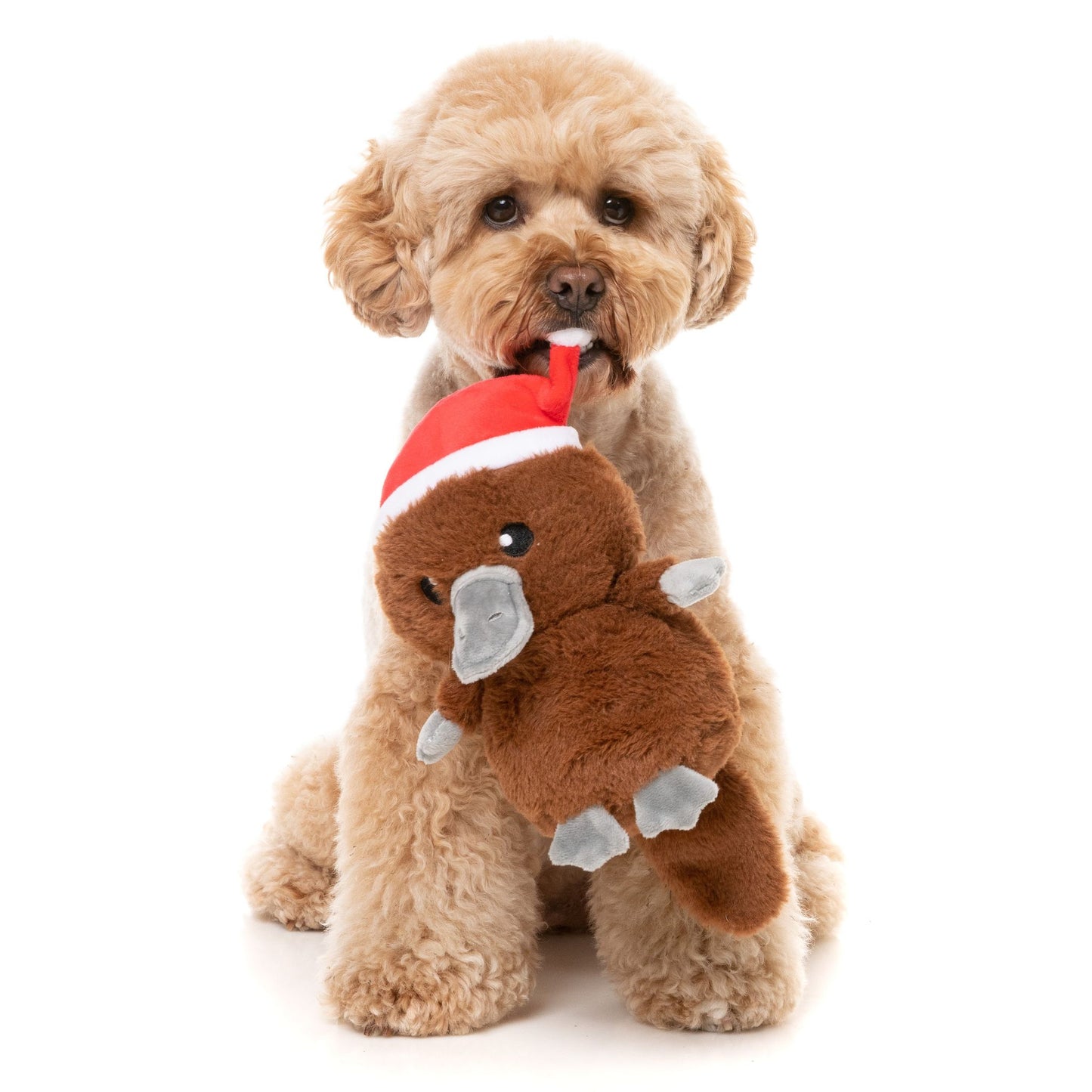 A-Wreatha The Platypus Christmas Dog Toy