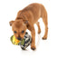 Commanduck Dog Toy