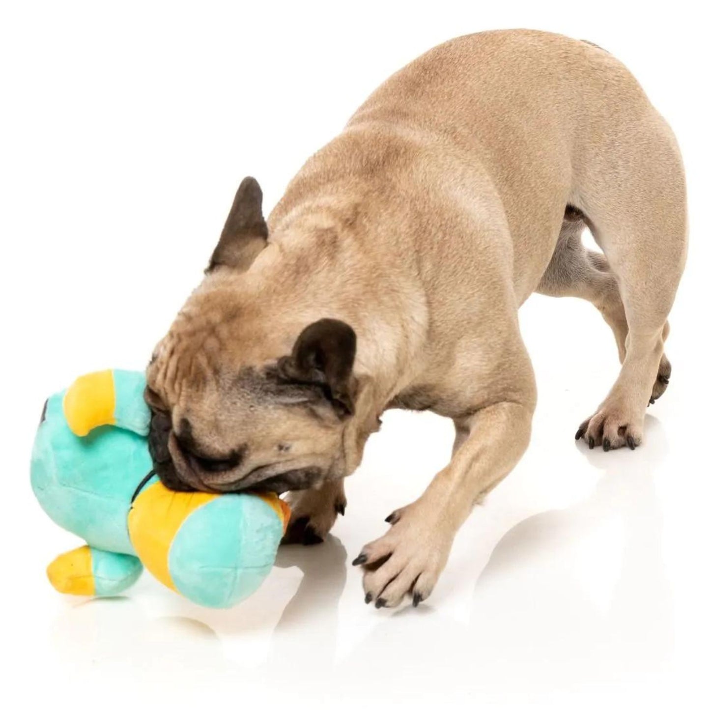 Ducktor Dog Toy
