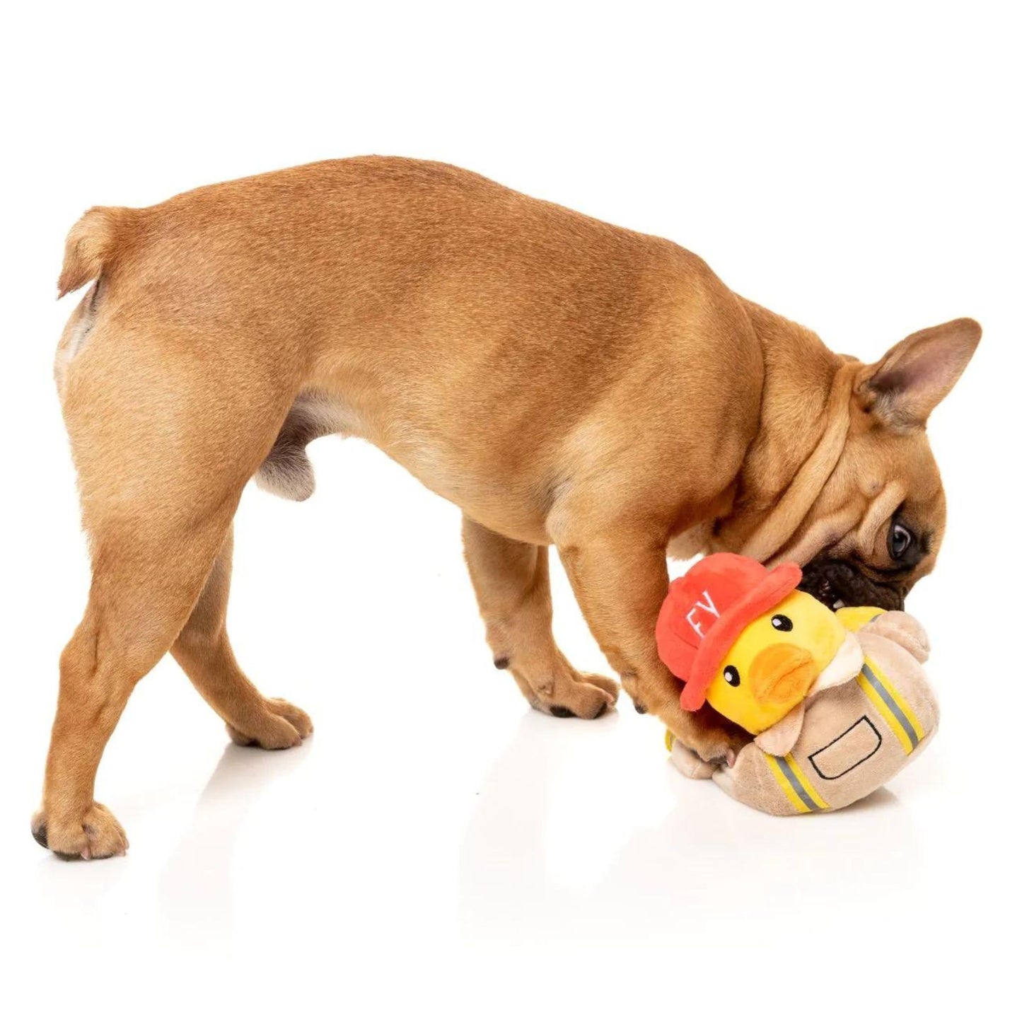Firequacker Dog Toy