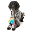Halloween Plush Dog Toy | Marg-EAT-Her Zombizza