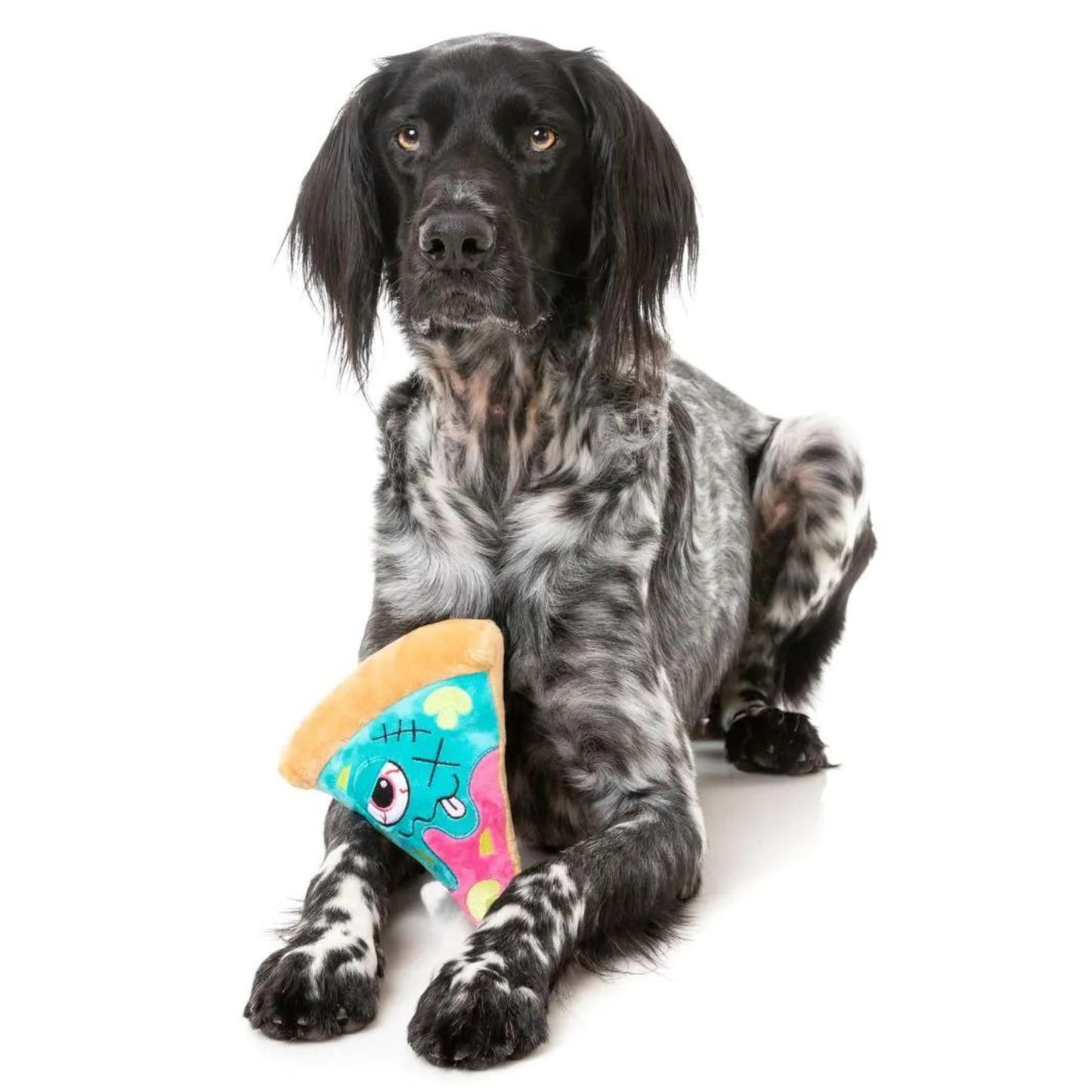 Halloween Plush Dog Toy | Marg-EAT-Her Zombizza
