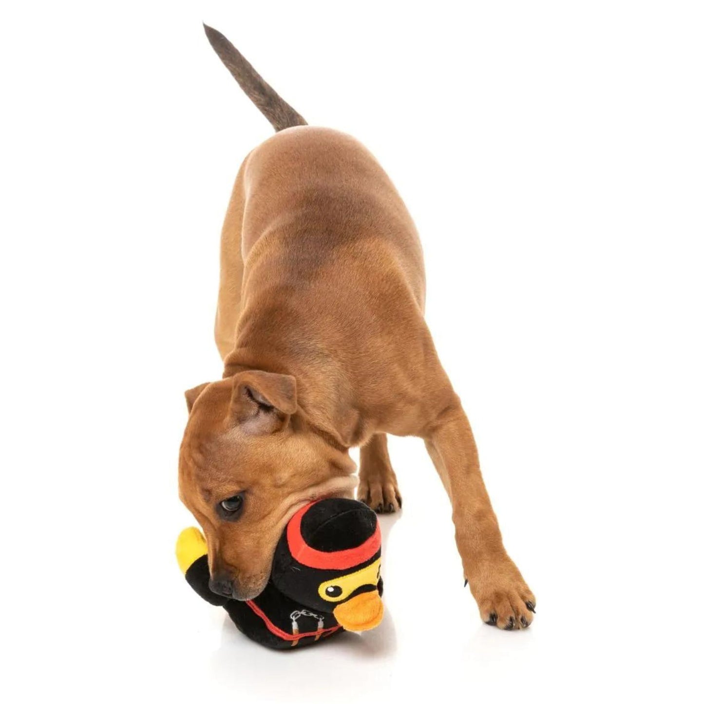 Quackie Chan Dog Toy