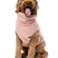 Turtle Teddy 24 Dog Sweater