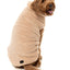 Turtle Teddy 24 Dog Sweater