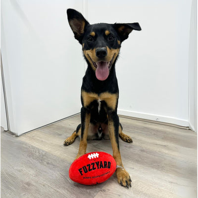 Aussie Football Dog Toy