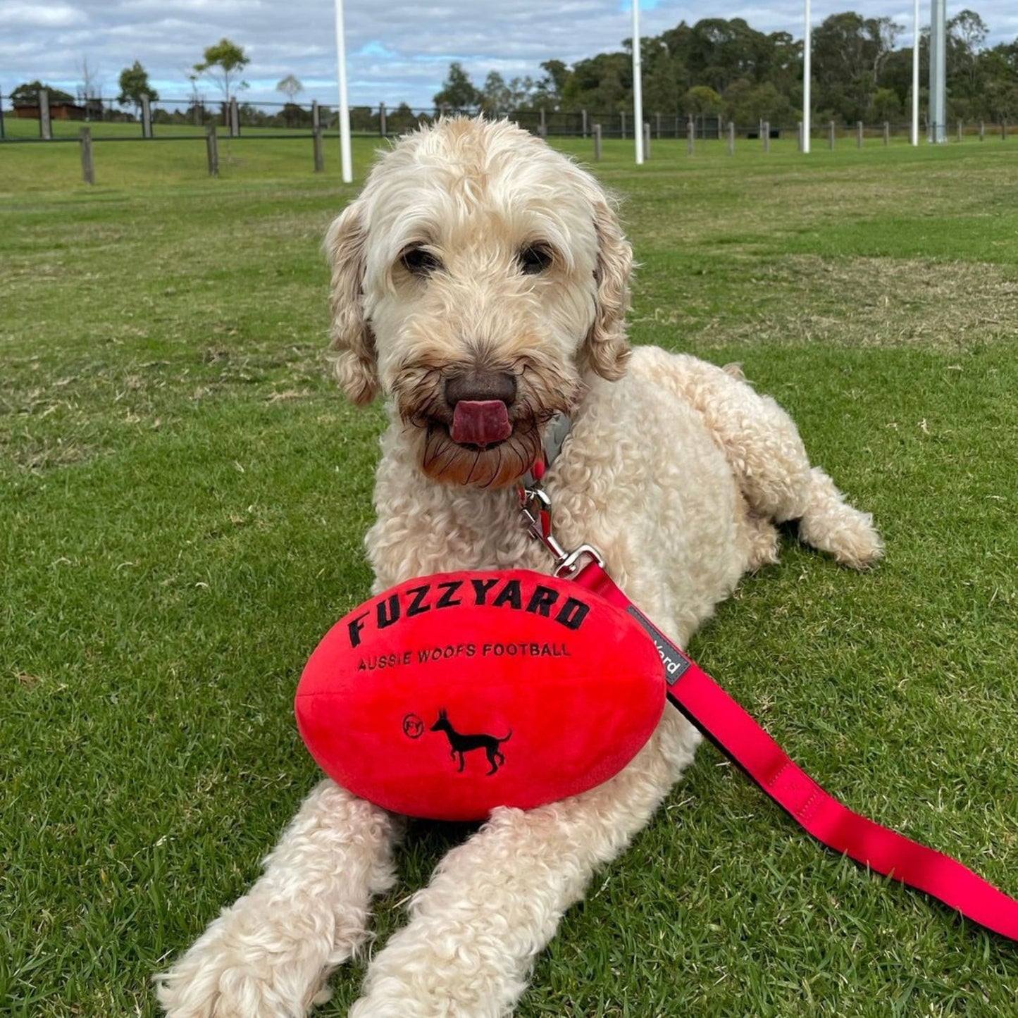 Aussie Football Dog Toy