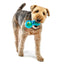Duo-Ball Dog Toy