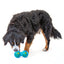 Duo-Ball Dog Toy