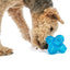 Puzzle Jack Dog Toy
