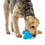 Puzzle Jack Dog Toy