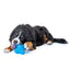 Puzzle Jack Dog Toy