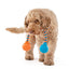 Squeaking Rope Dog Toy