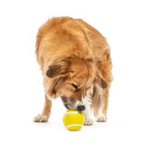 Tennis Treat Ball | Medium