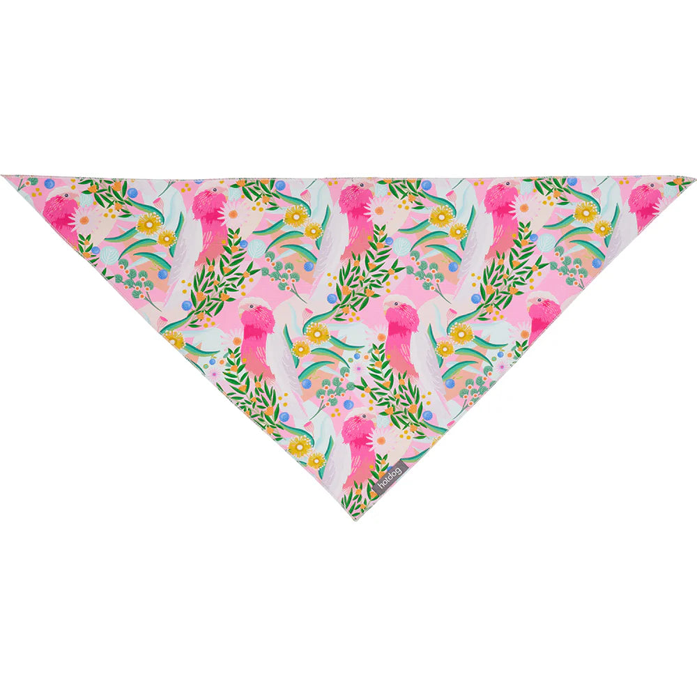 HOT DOG BANDANA COTTON  | GALAH