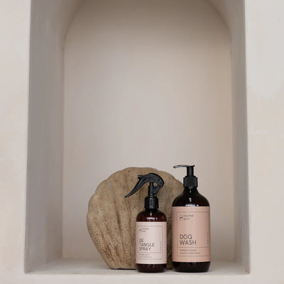 2:1 Wash | Pistachio & Salted Caramel (Inspired By: Sol de Janeiro) - Peticular