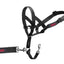 HALTI HeadCollar Train| Black