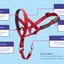 HALTI HeadCollar Train| Black