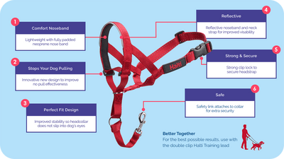 HALTI HeadCollar Train| Black