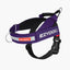 Express Harness - Peticular