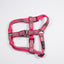 Hot Pink Watermelons | Step-In Dog Harness