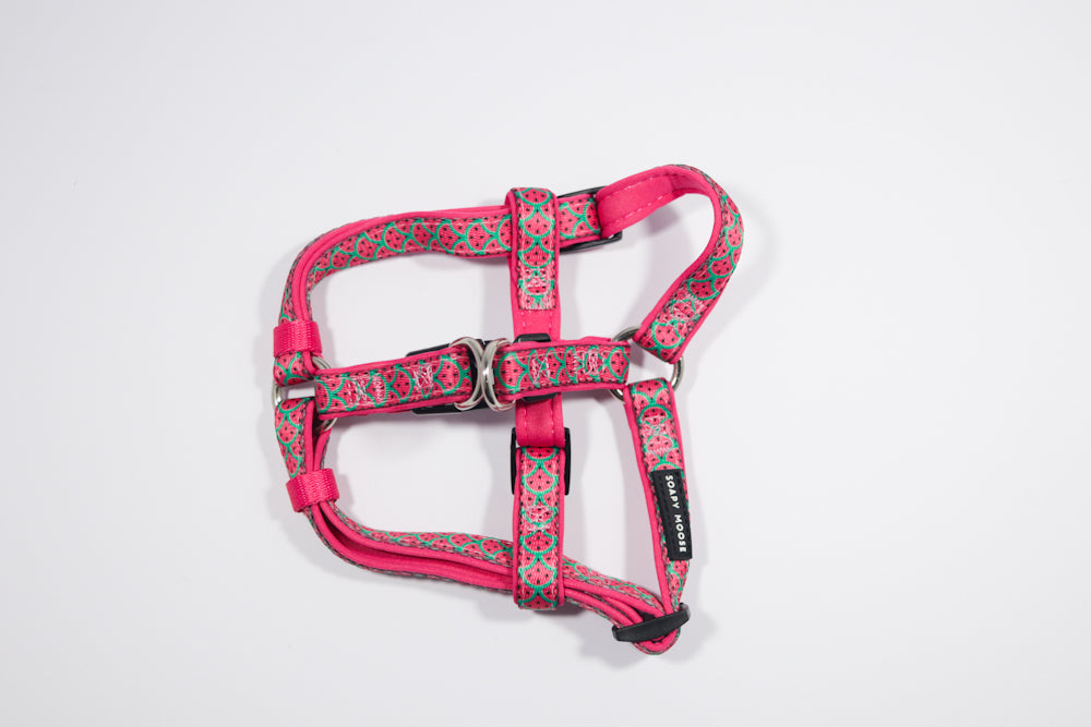 Hot Pink Watermelons | Step-In Dog Harness