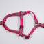 Hot Pink Watermelons | Step-In Dog Harness