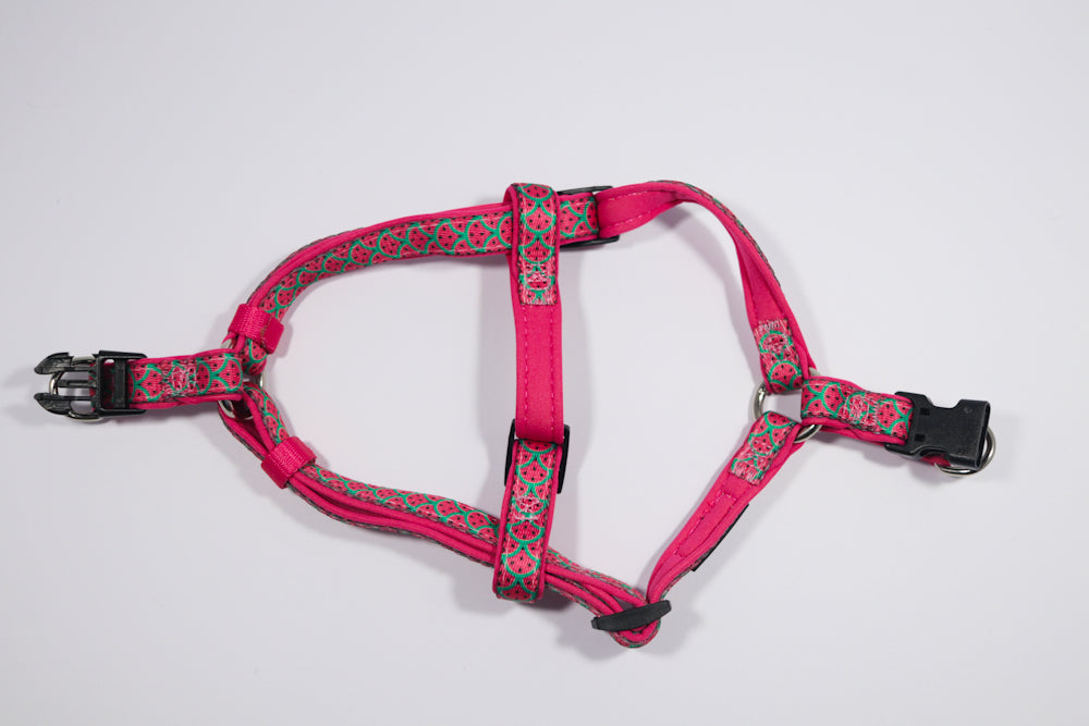 Hot Pink Watermelons | Step-In Dog Harness