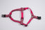 Hot Pink Watermelons | Step-In Dog Harness