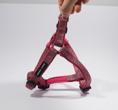 Hot Pink Watermelons | Step-In Dog Harness