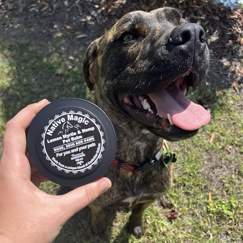 Native Magic Lemon Myrtle & Hemp Pet Balm | 100ml Tin