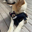 Outback Animal Toy | Tassie Devil