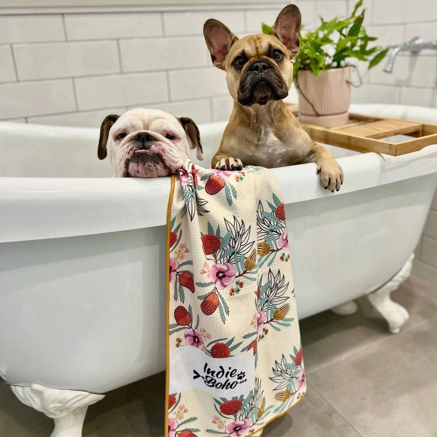 Pet Travel & Bath Towel | Native Flora