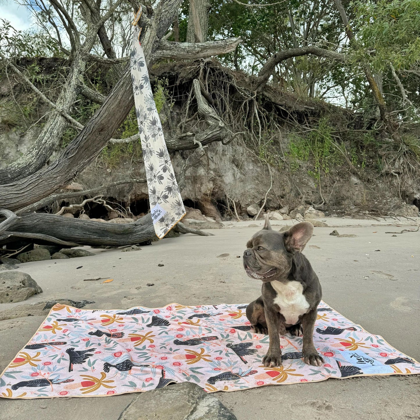 Pet Travel & Bath Towel | Sunset Cockatoo