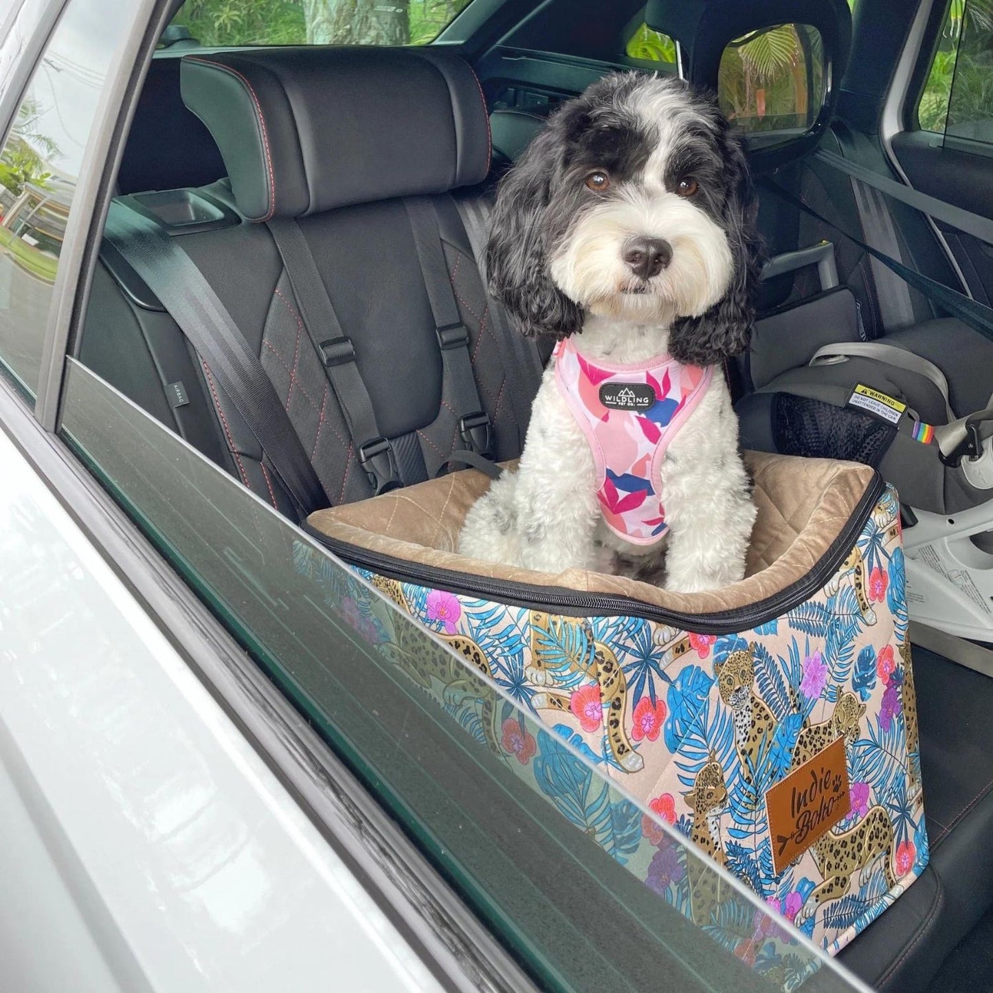 Car Pet Booster Single Seat | Leopard Luxe