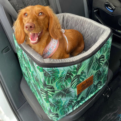 Car Pet Booster Single Seat | Tropical Leaves