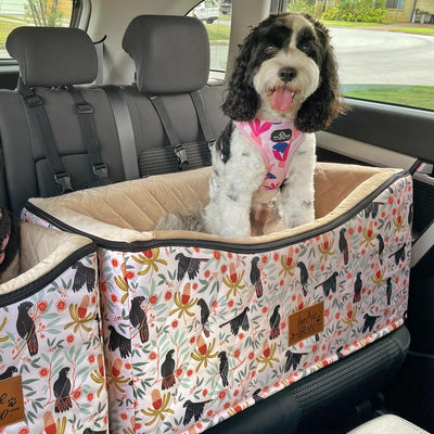 Car Pet Booster Double Seat | Sunset Cockatoo