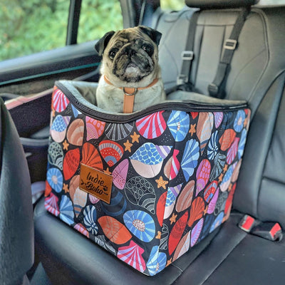 Car Pet Booster Single Seat | Daydream Shells