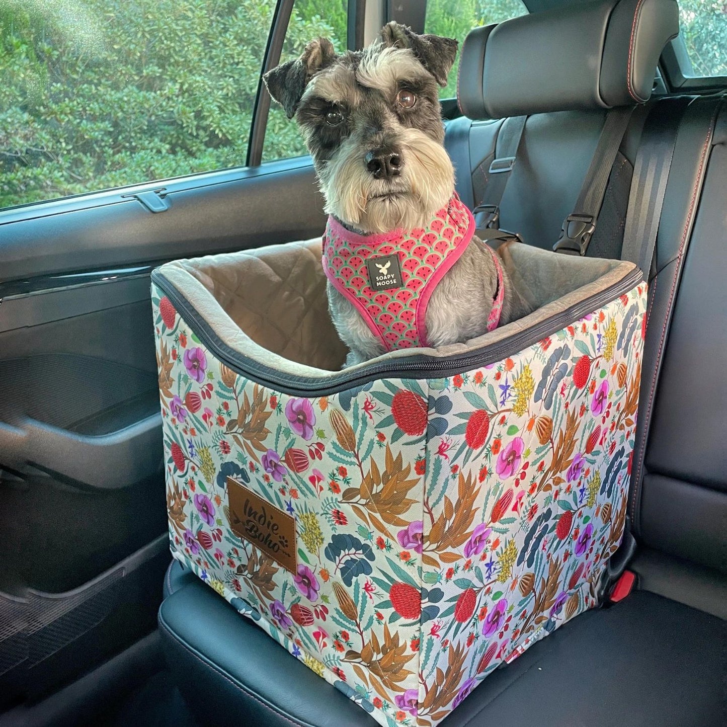 Car Pet Booster Single Seat | Native Flora