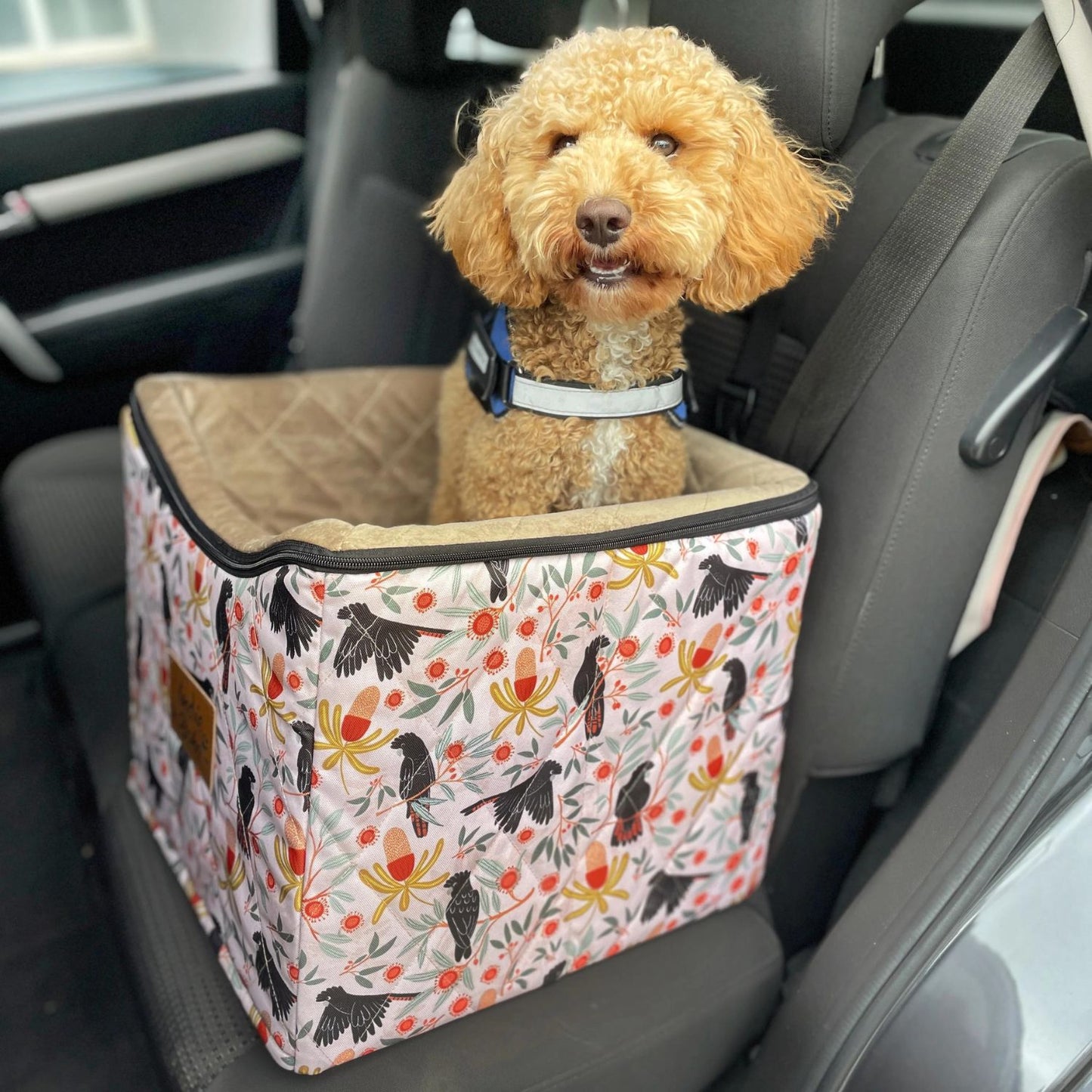 Car Pet Booster Single Seat | Sunset Cockatoo