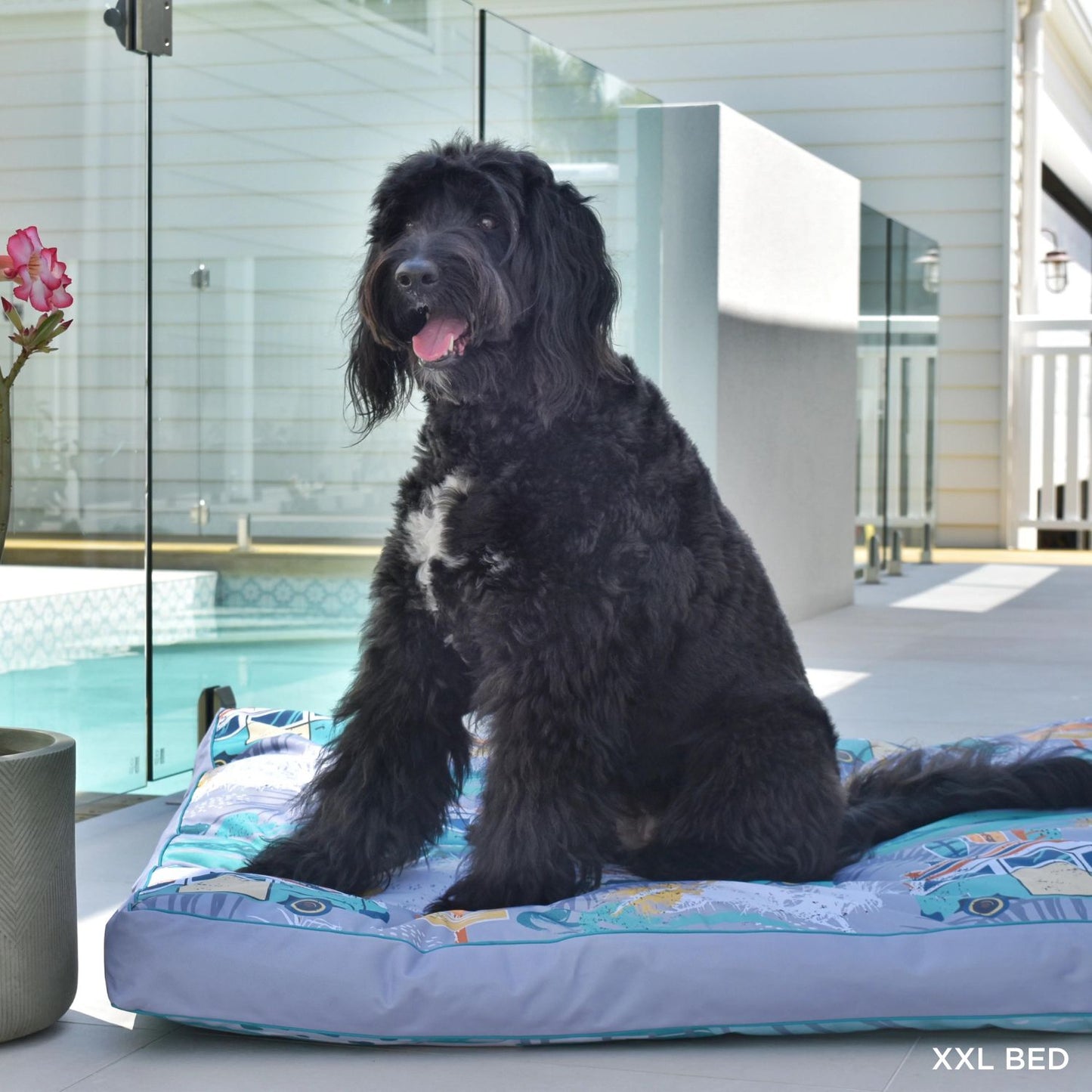 Outdoor Dog Bed | Byron Surf