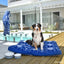 Outdoor Dog Bed | Noosa Nights* - Peticular