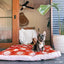 Outdoor Dog Bed | Sunset Cockatoo