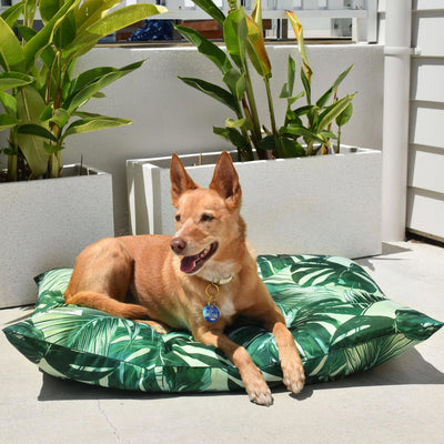 Outdoor Dog Bed | Tropical Leaves