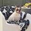 Designer Pet Blanket | Sunset Cockatoo Black