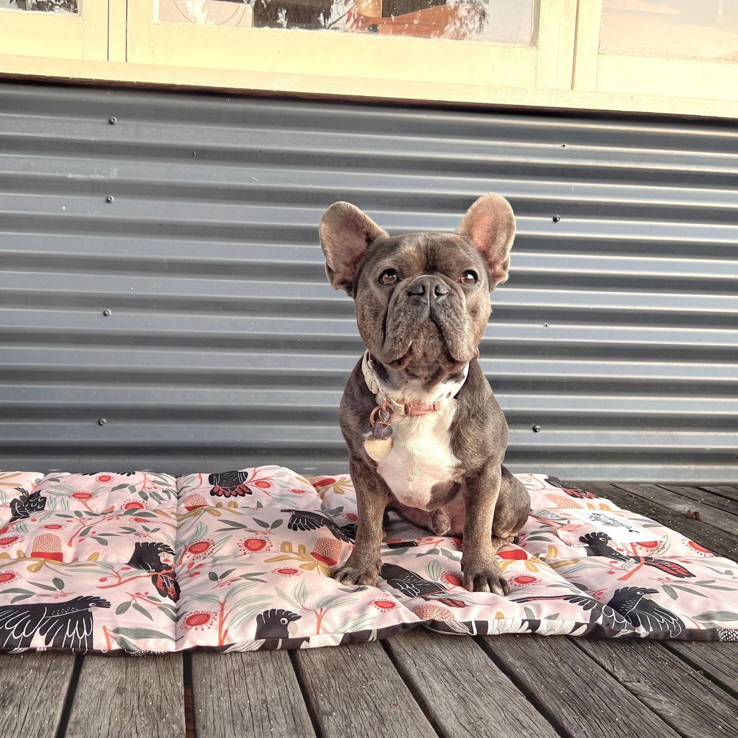 Dog Travel & Training Mat | Sunset Cockatoo