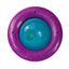 Catnip Infused Cat Gyro Toy