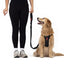 EzyDog Essential Adjustable