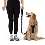 EzyDog Essential Adjustable